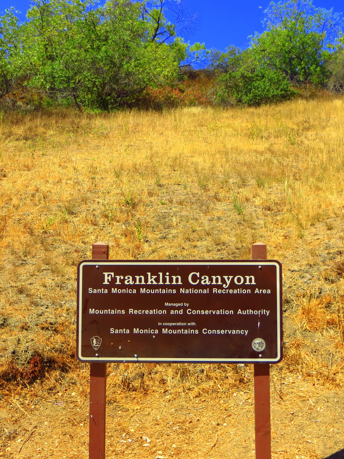 Web franklin canyon park rests on 605 acres near the center of los angeles between the san fernando valley and beverly hills. Los Angeles Park Reviews Franklin Canyon Park