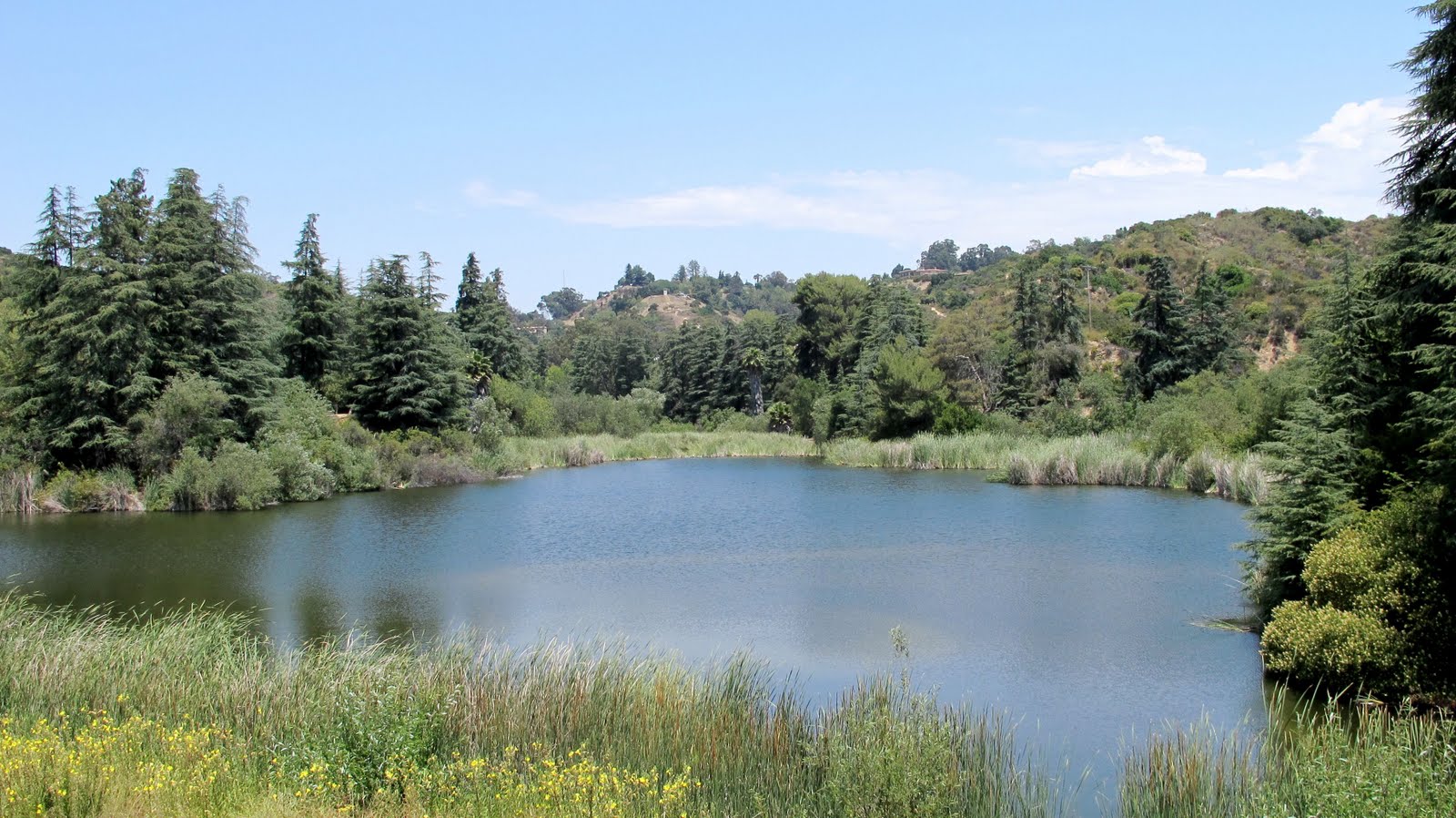 Web franklin canyon park, mountains recreation & conservation authority 2600 franklin canyon dr, beverly hills, ca, us discover a slice of wilderness right in the heart of la, just minutes from downtown beverly hills. 365 los angeles 192 Franklin Canyon Park