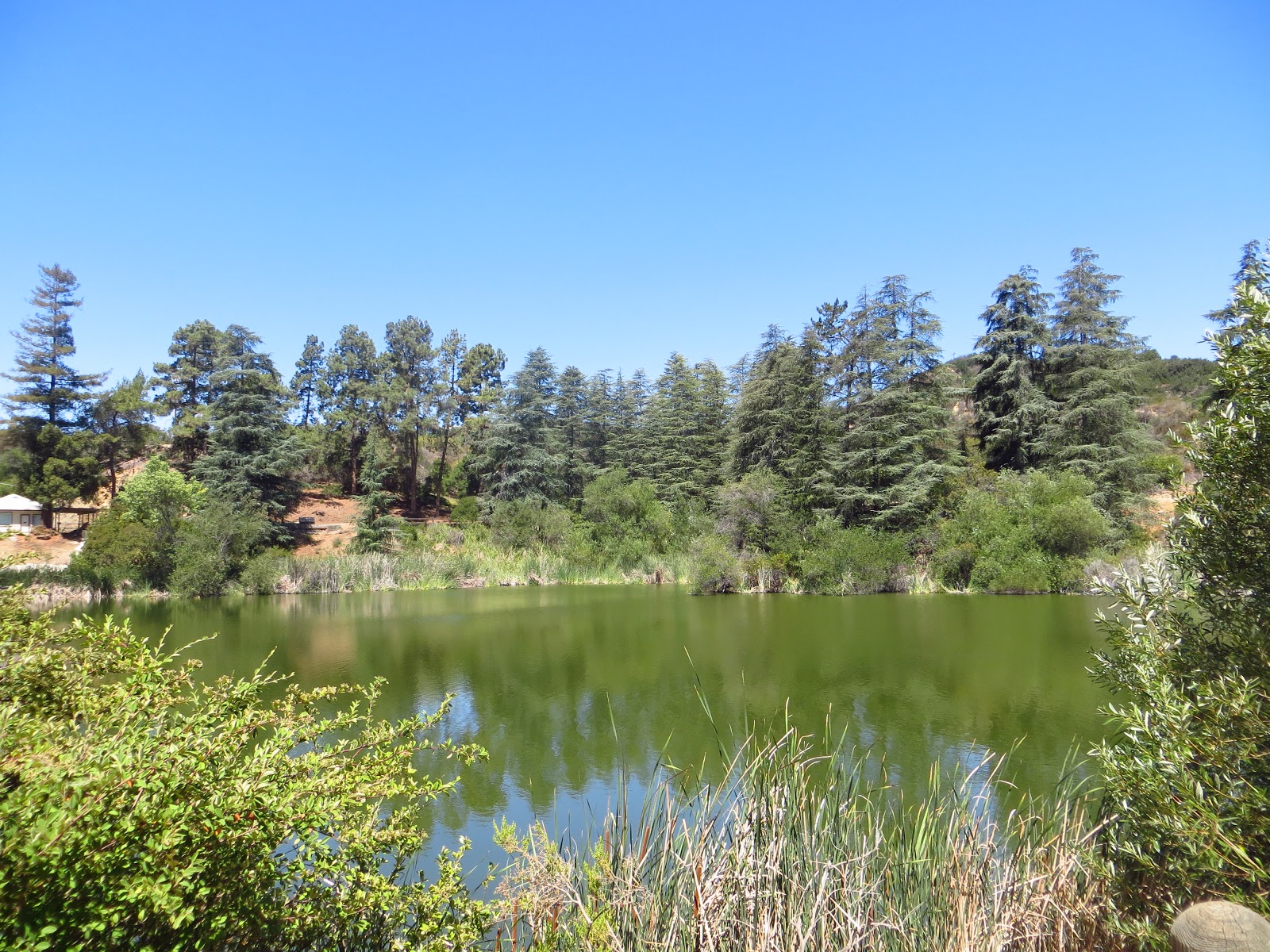Web the park is jointly managed by the santa monica mountains conservancy through the mountains recreation and conservation authority, the national park service, department of water and power, city of los angeles, and the city of beverly hills. Los Angeles Park Reviews Franklin Canyon Park