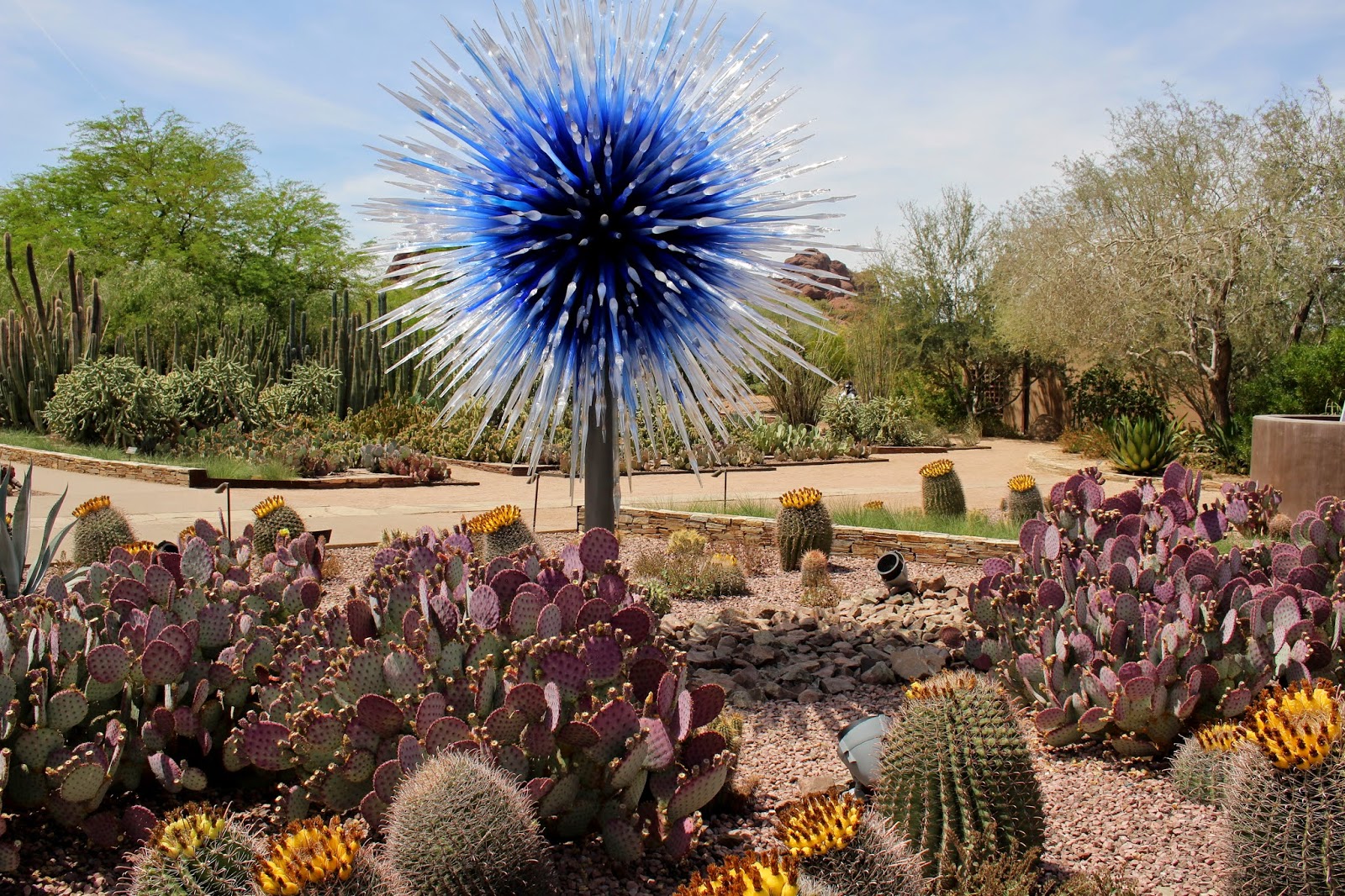 Web december 9, 2022 / by christina d. dripping with passion earth day at the desert botanical gardens