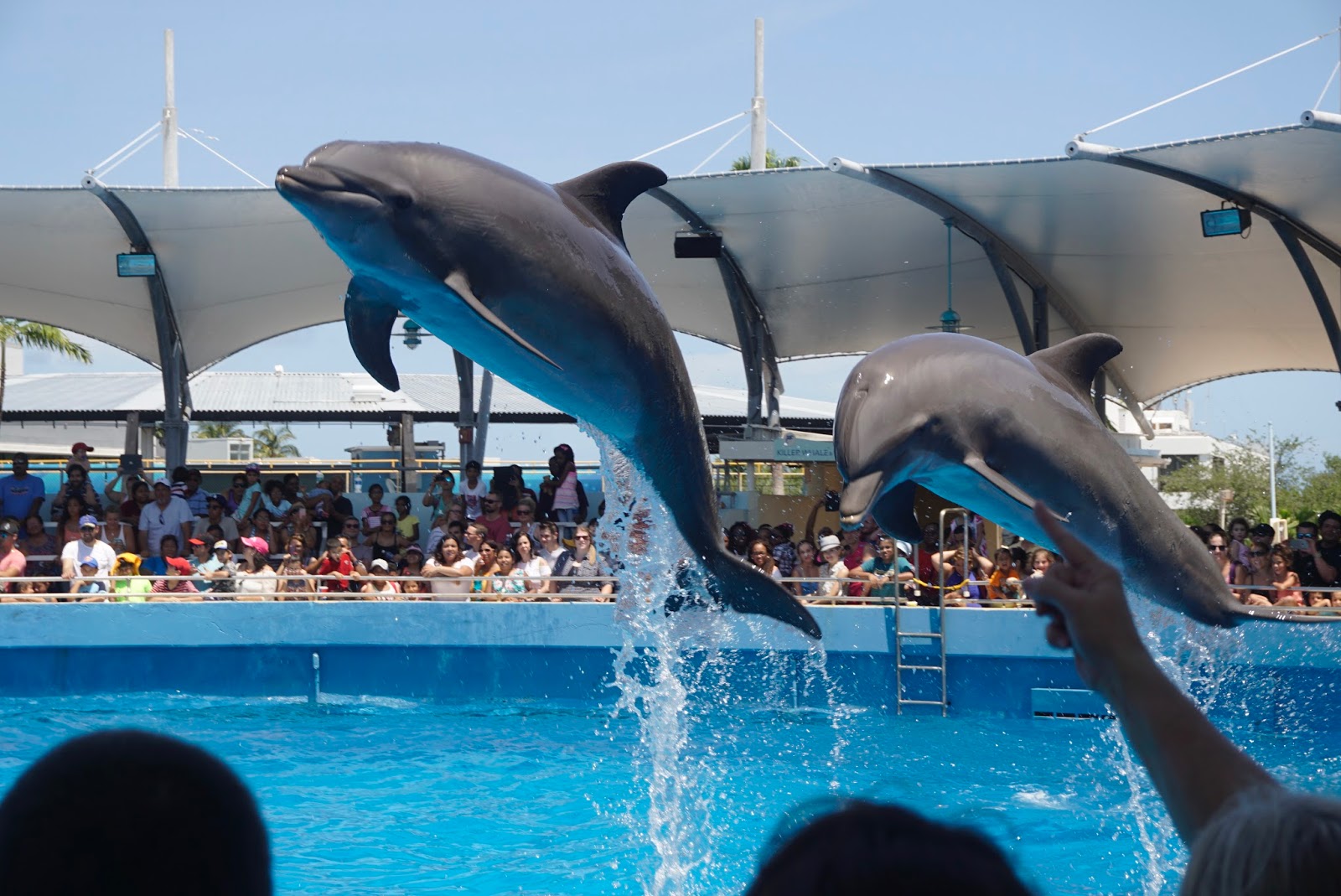 We have reviews of the best places to see in key biscayne. Made in the West Indies Five Things to do at Key Biscayne