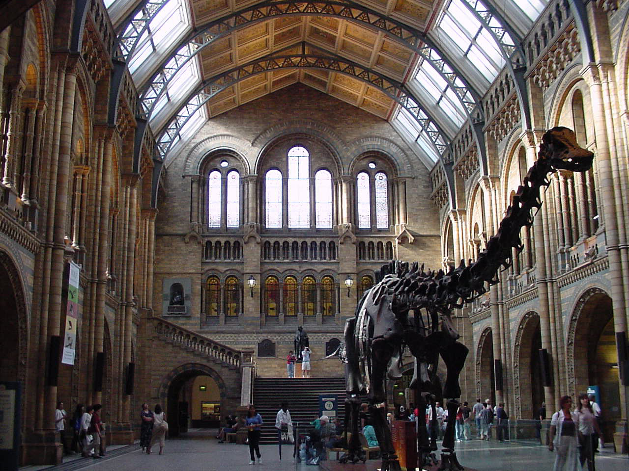 Enjoy a night of fun, food, science, movies and music at the natural history museum's sleepover, dino snores for grown ups. World Travel Natural History Museum