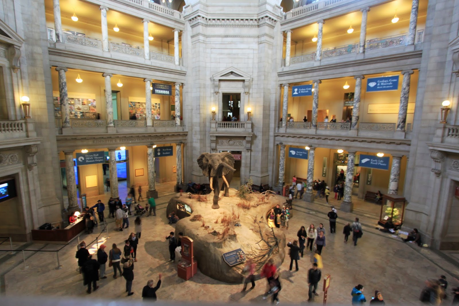 Since it opened its doors in 1910, the museum has endeavored to inspire curiosity and learning through its collection of over 126 million natural specimens, artifacts, and photographs. National Museum of Natural History, Washington DC Lense Moments