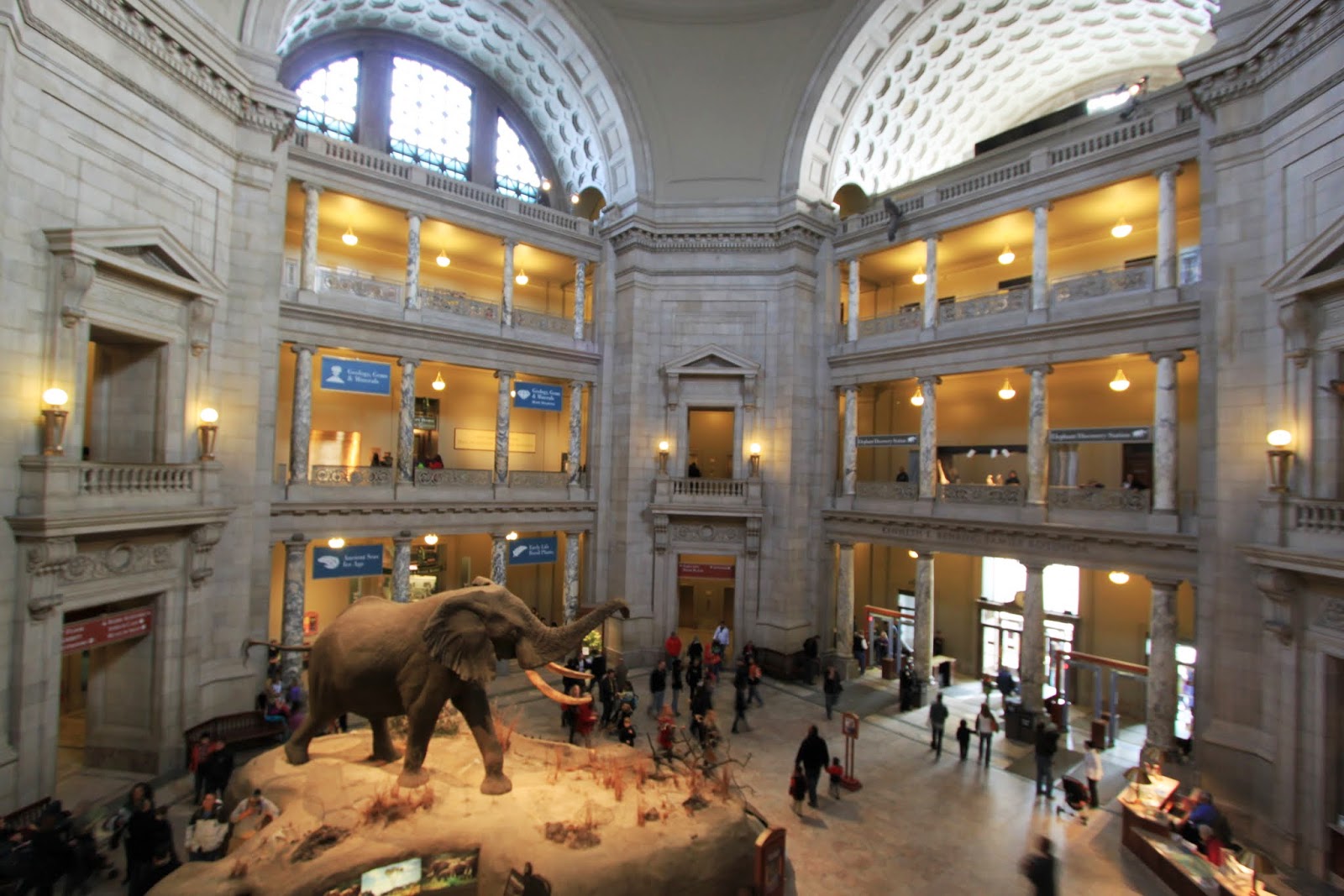 Its regular hours are 10 a.m. National Museum of Natural History, Washington DC Lense Moments