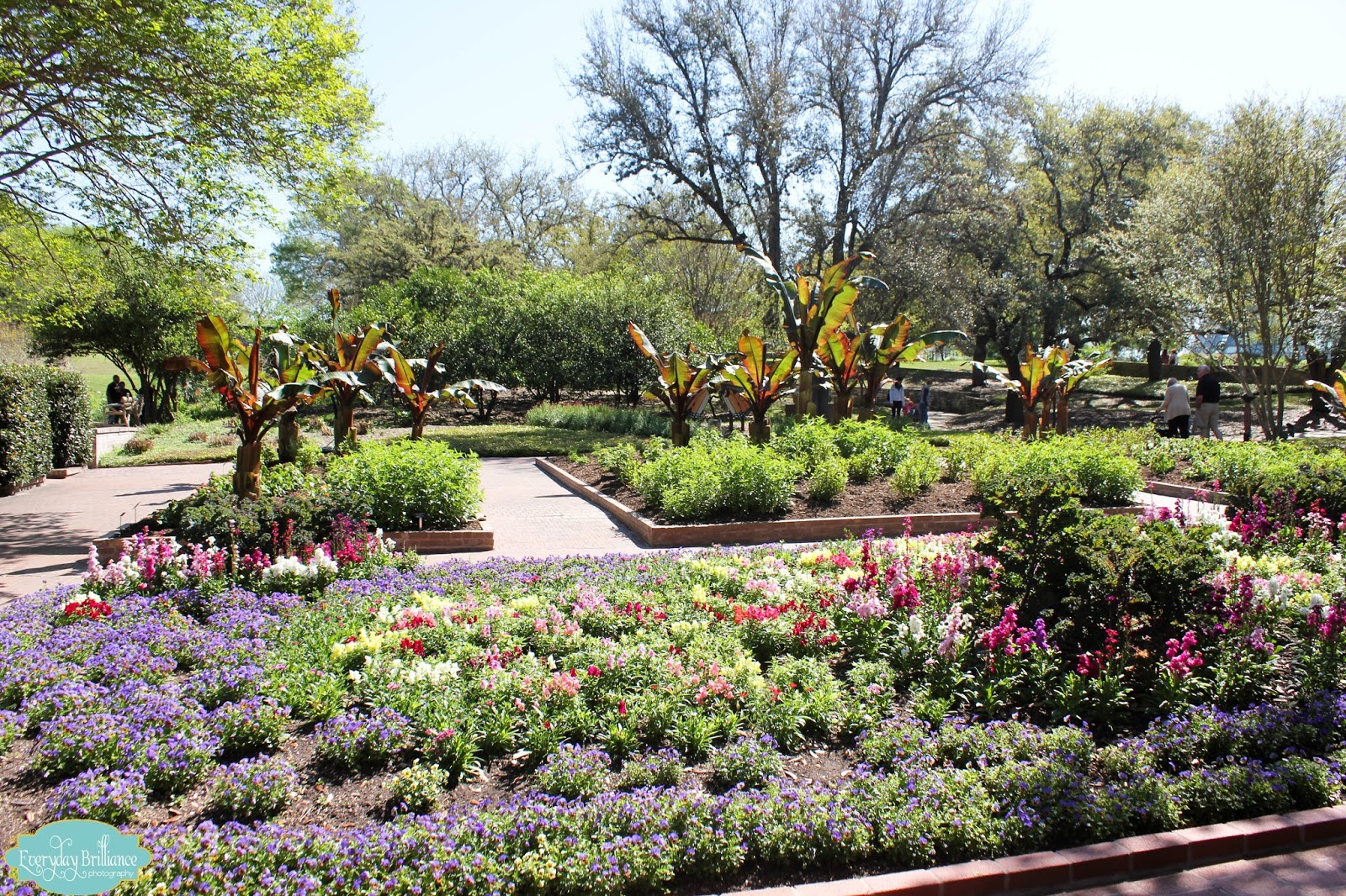 Daily amenities bike rack pavilion / gazebo public art display Everyday Brilliance Photography San Antonio Botanical Garden