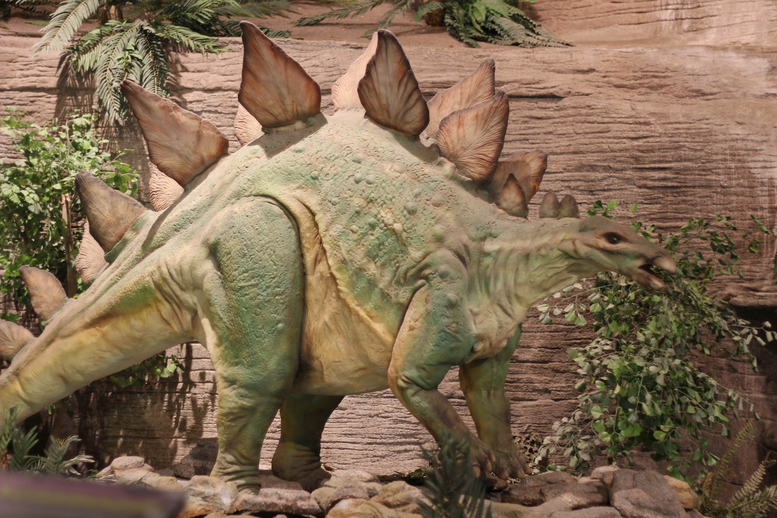 Hazardous Undertakings AZ Museum of Natural History