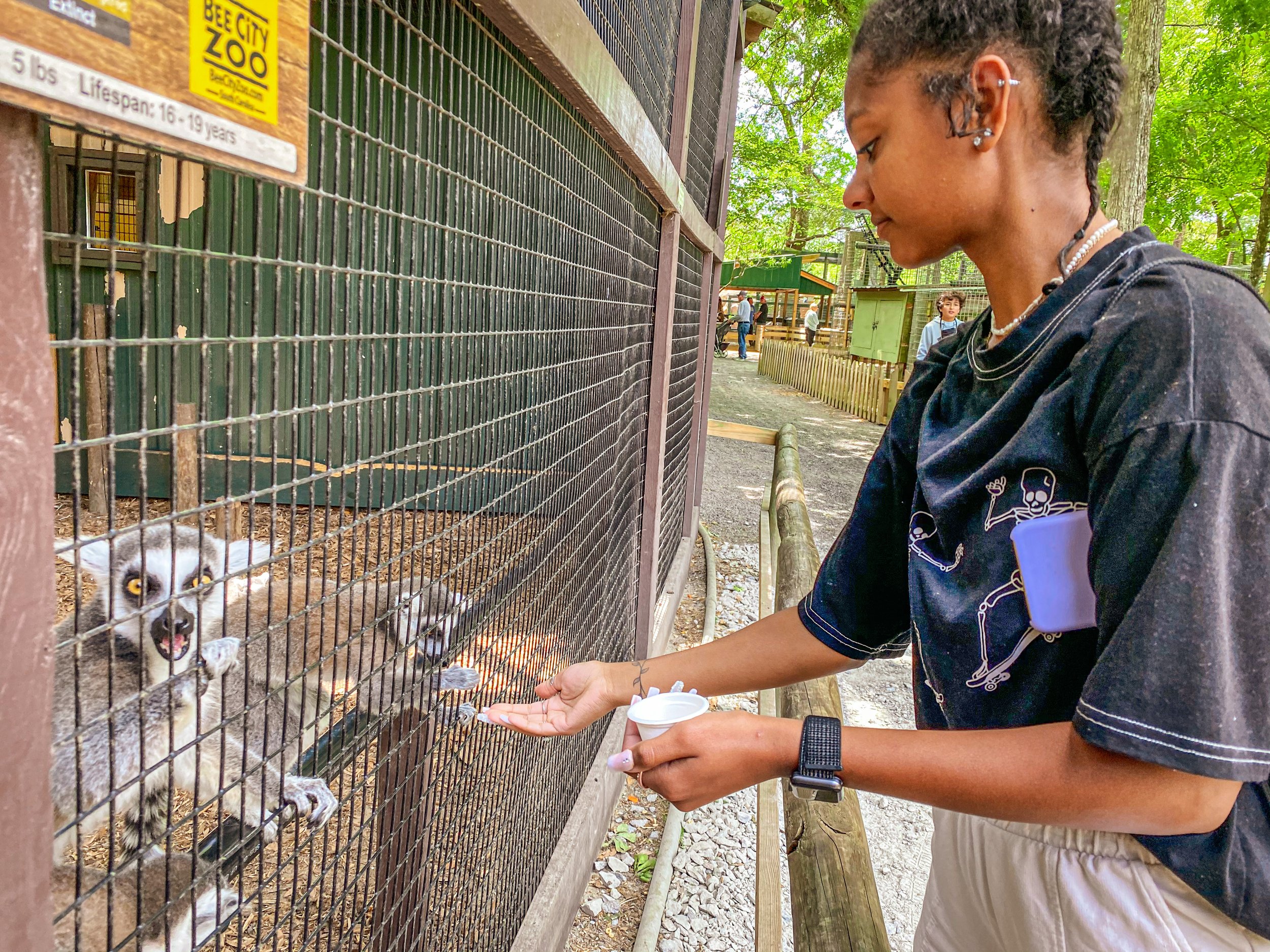 Web contact us to book your next field trip at bee city. Bee City Field Trip — Lowcountry Field Trips