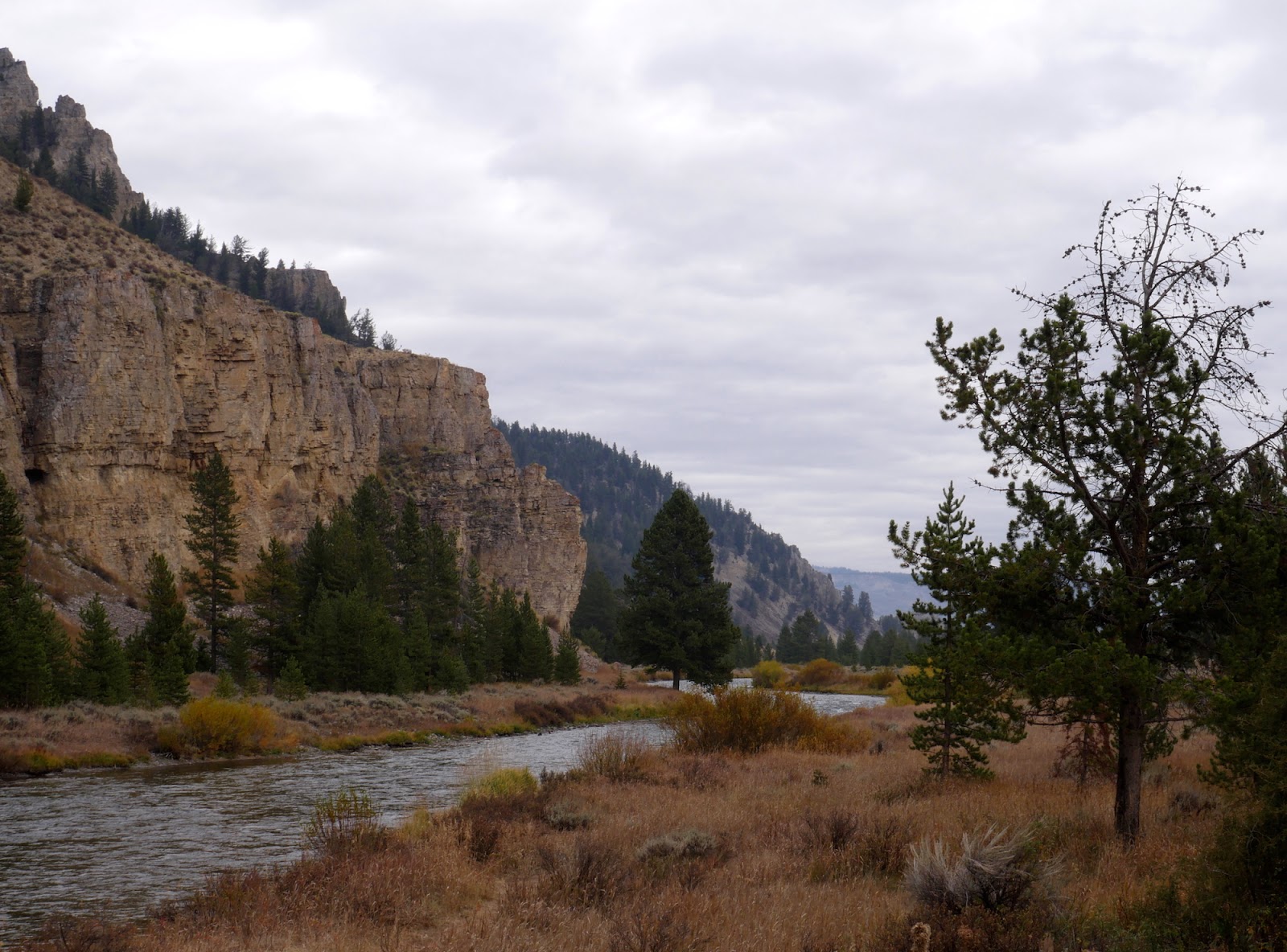 But montana has nine total national parks, each one unique and enchanting in its own way. Yellowstone to Helena