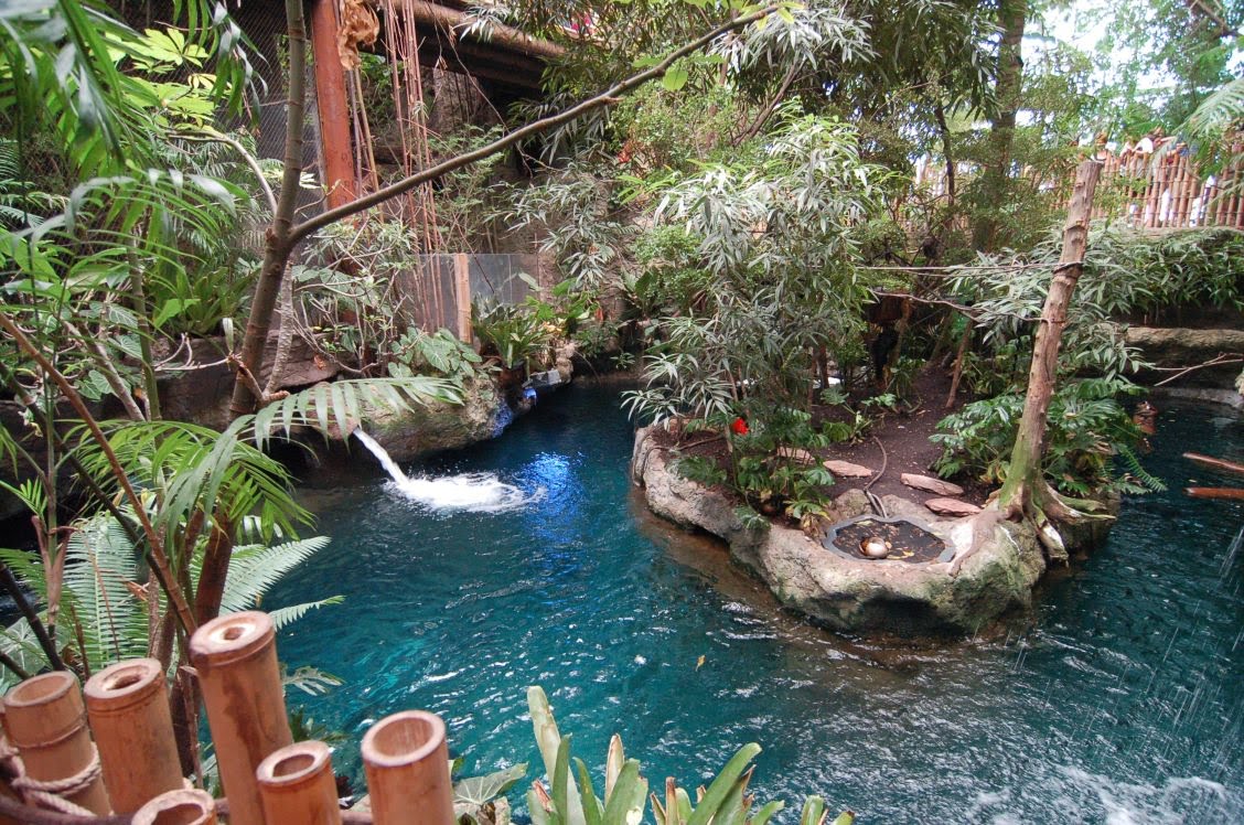 Vividseats.com has been visited by 100k+ users in the past month Zoo and Aquarium Design Manatee Mixed species exhibit at The Dallas