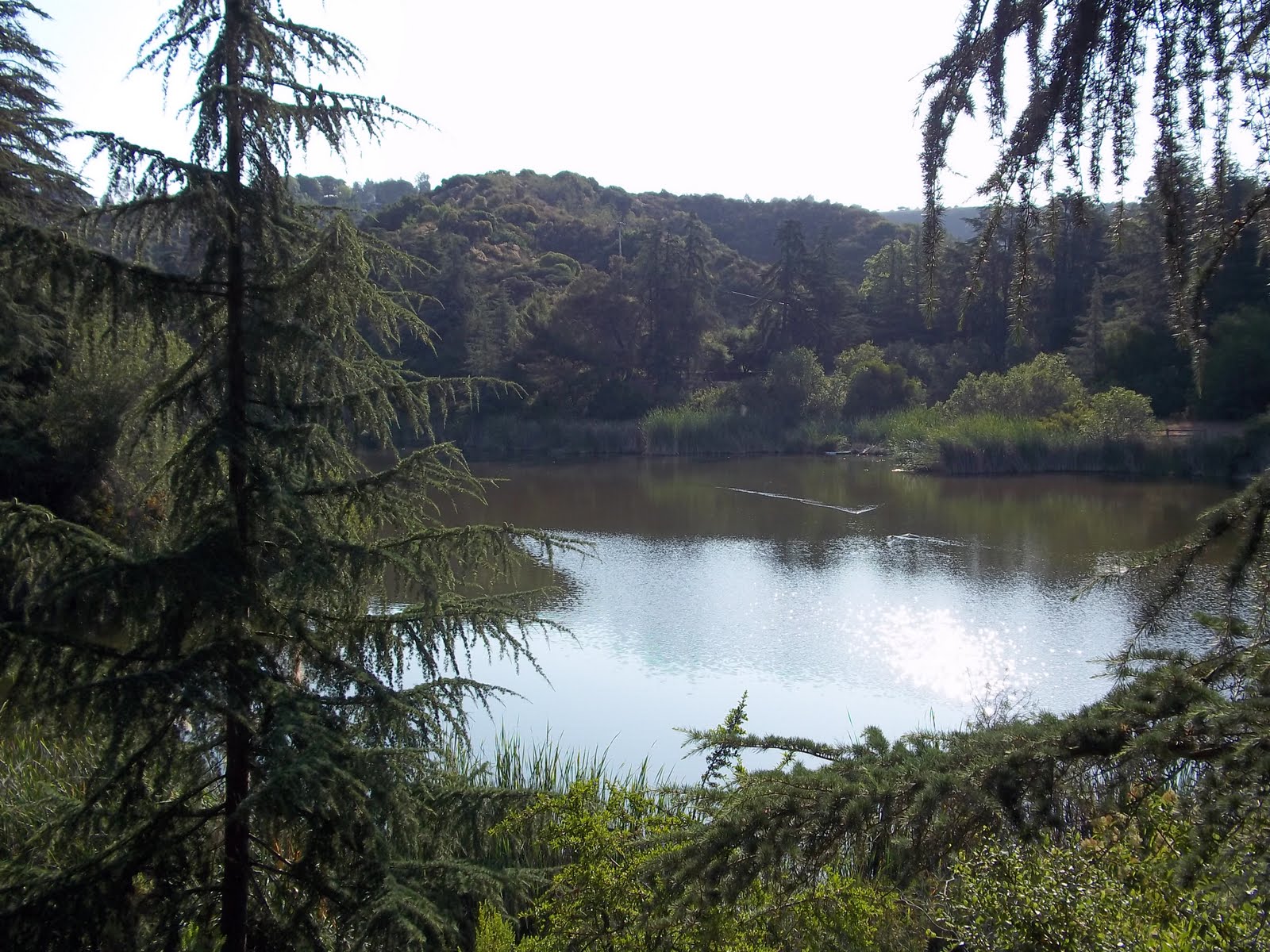 Web franklin canyon park is one of my favorite outdoor destinations in los angeles. Big City Sustainability Franklin Canyon Park in Beverly Hills CA.